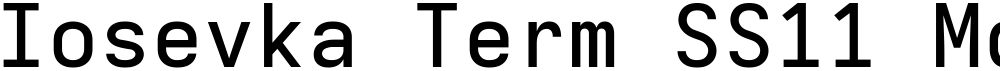 Iosevka Term SS11 MdEx
