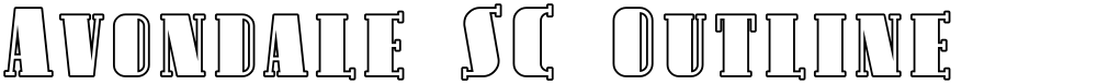 Avondale SC Outline